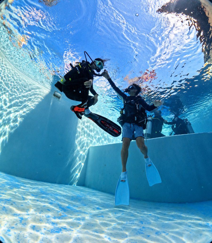 Dive Courses