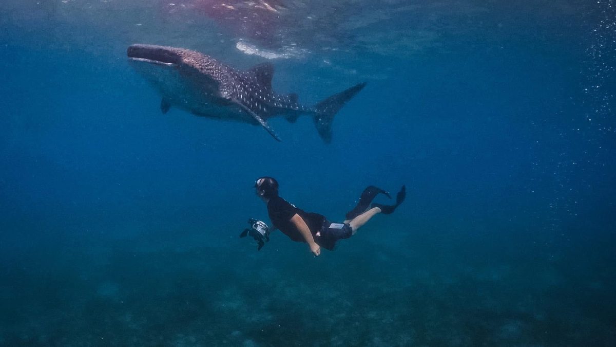 Chinese Wall (Similan Island 4)