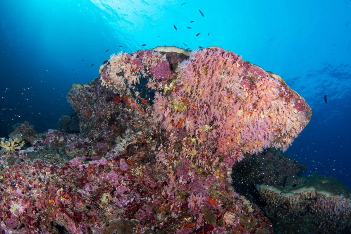 Boulders City (Similan Island 3)