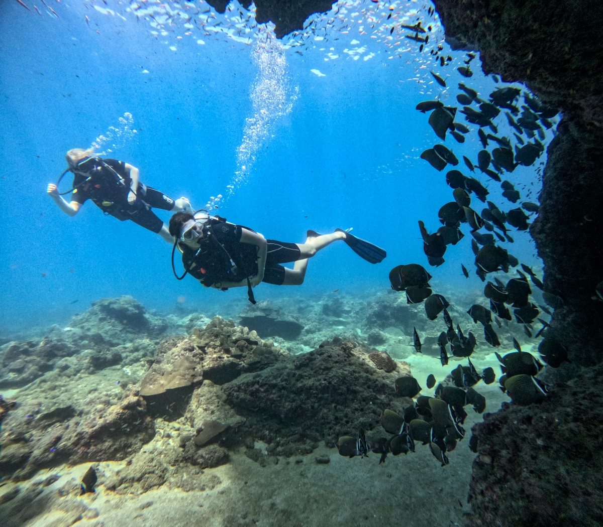Try Dive