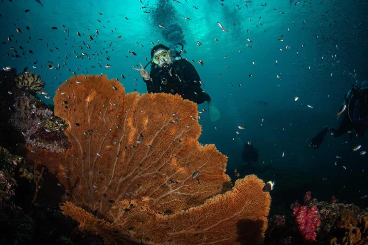Advanced Open Water Scuba Diver