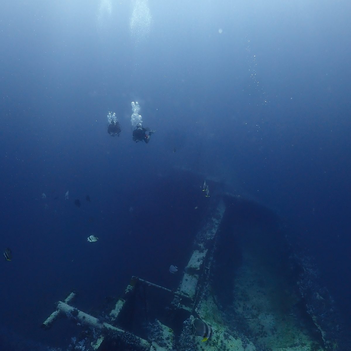 Deep Diver