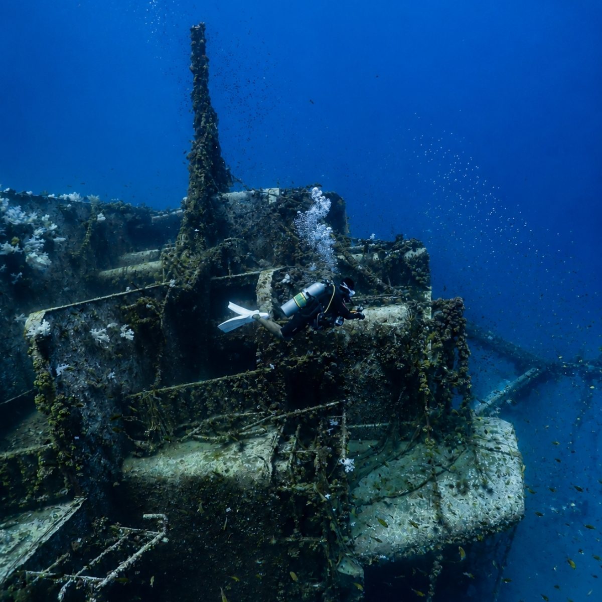 Wreck Dive